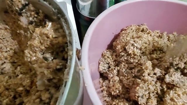 С такой мешанки бройлеры хорошо растут. Мешанка из мясокостного фарша или из мясных отходов + ...