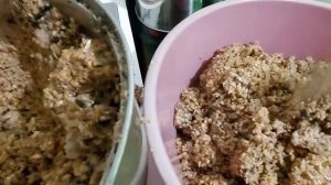 С такой мешанки бройлеры хорошо растут. Мешанка из мясокостного фарша или из мясных отходов + ...