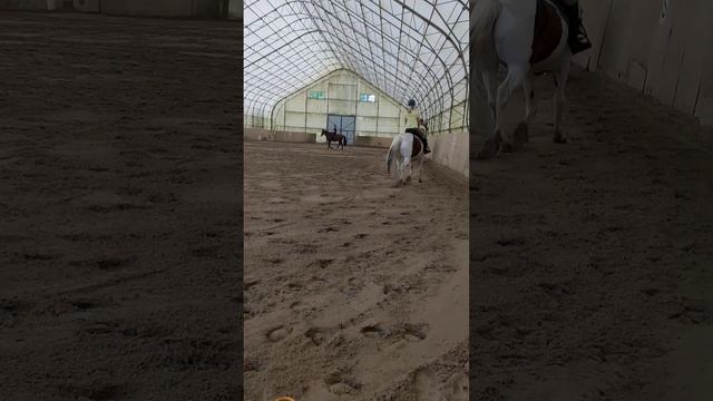 После отпуска. Возобновляем тренировки