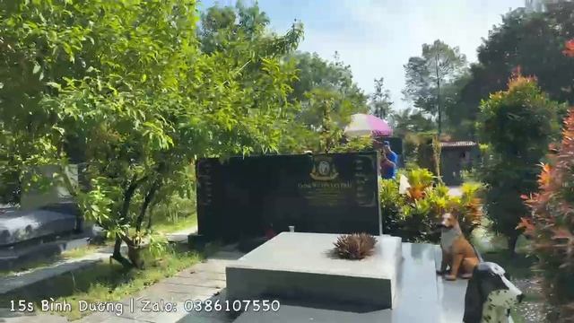 Mộ vắng vẻ sáng đầu tuần, đàn ngựa vào thẳng luôn mộ chú VŨ LINH смотреть онлайн