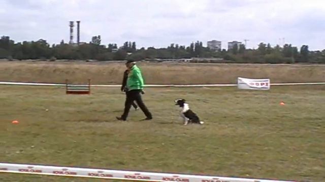 Подлин Михаил и бордер колли Нюс 09 2013 0002 смотреть онлайн