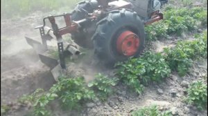 Окучиваем картофель мотоблоком Беларус