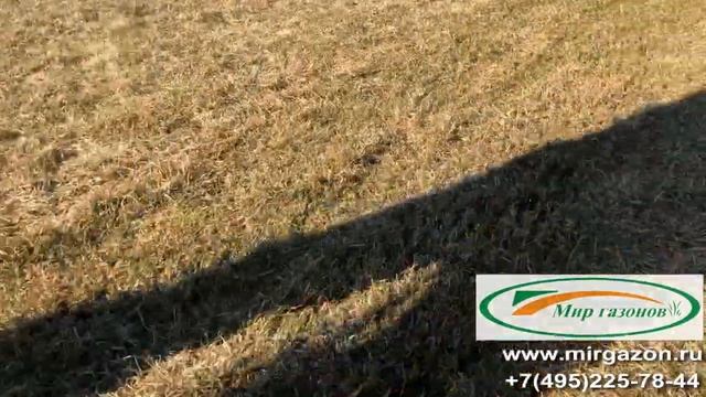 Уход за газоном после весны. Скарификация. смотреть онлайн