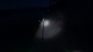 Налим на реке Оять