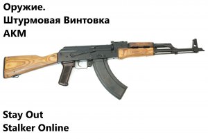 Stay Out / Stalker Online. Оружие. Штурмовая Винтовка. АКМ