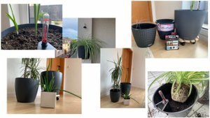 Обзор кашпо с автополивом компании Lechuza