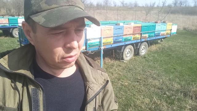 23.03.2023 пошла замена зимовалой пчелы смотреть онлайн