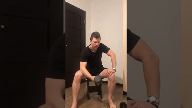 Бицепсы и трицепсы