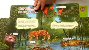 Кто прячется в джунглях? изд. Азбукварик