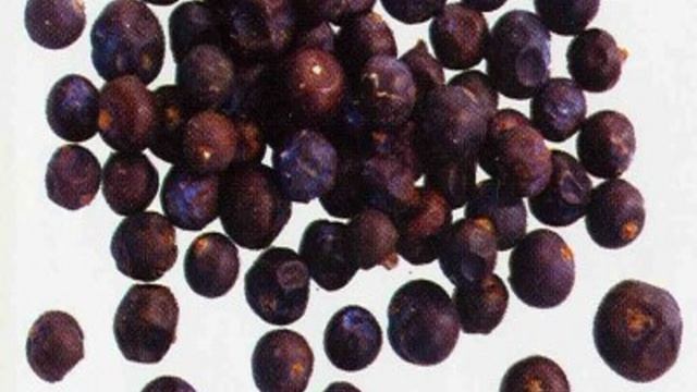 Домашнее пиво из свеклы