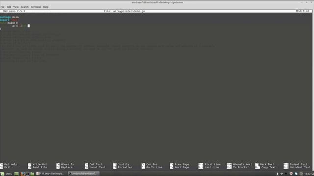 Go (golang) Tutorials - Arrays and Array of Pointers
