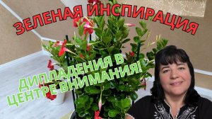 Обработка  Дипладении ?? Просто Мария