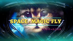 Space “Magic Fly” SONY TC-K88.