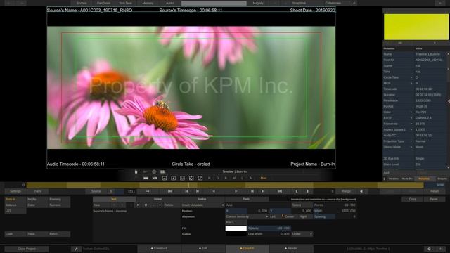 SCRATCH v9 & Burn-In Part 2 смотреть онлайн