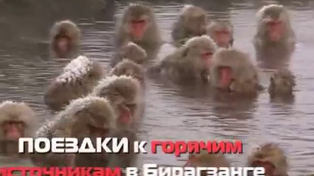 Верхний Бирогзанг источник смотреть онлайн