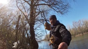 ЛОВЛЯ КАРАСЯ.УБИЙЦА КАРАСЯ.ВЕСЕННИЙ КАРАСЬ.РЫБАЛКА НА КАРАСЯ.ГОРОХОВАЯ МАСТЫРКА