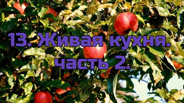 13.  Живая кухня.  часть 2. Вадим Зеланд.