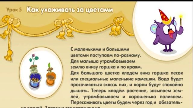 КАК УХАЖИВАТЬ  ЗА  ЦВЕТАМИ