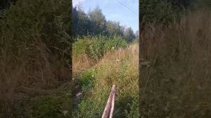 заброшенная детская площадка повалили беседку