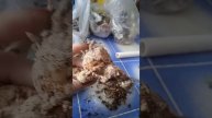 зачем мыть клубни георгин