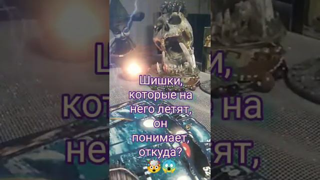 ‼️да воздастся каждому по делам его... или понимает ли он, откуда и за что ему прилетает⁉️#бумеранг смотреть онлайн