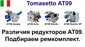 Ремкомплект редуктора AT09 (Tomasetto Alaska (Super), Nordic, Artic, Nordiс XP