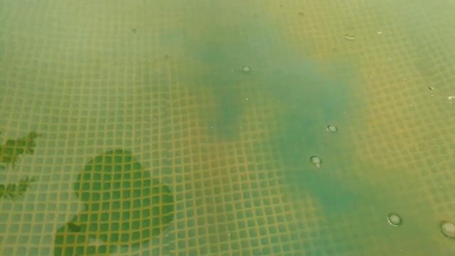 КАК ОЧИСТИТЬ И ОСВЕТЛИТЬ ВОДУ В БАССЕЙНЕ ЗА 62 РУБЛЯ смотреть онлайн