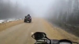 Дорога Верхняя Ослянка Свердловской области