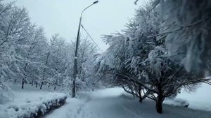 Цыганская версия СЕДАЯ НОЧЬ   #gipsymusic #бахталэрома #цыганскаясвадьба #shorts #youtube