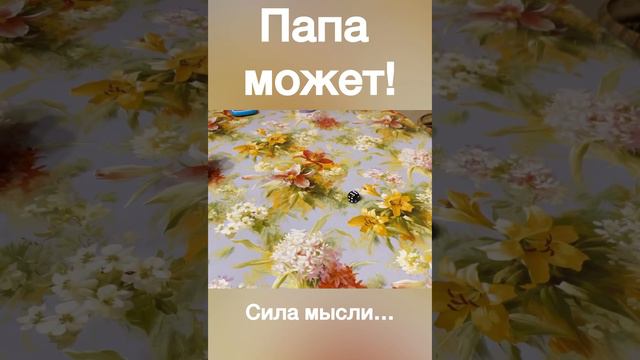 Сила мысли бати она такая! Шортс