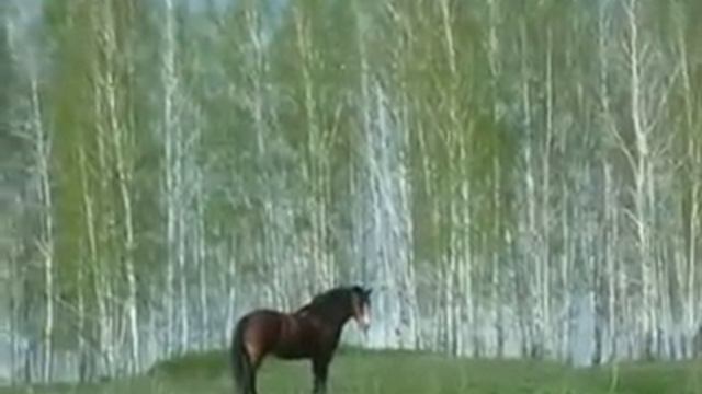 КРАСНАЯ -ЯРУГА.