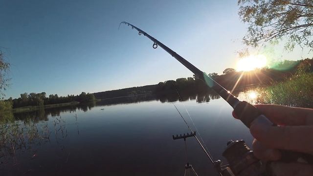 Я этого жду!!! Ловля плотвы на фидер. Летняя рыбалка 2021 на фидер. смотреть онлайн