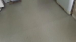 Убираюсь у шиншилл. Шиншиллы убежали. Не могу найти их😭