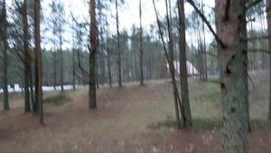 Сестрорецк Санаторий Дюны