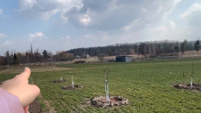 ПРИЕХАЛИ НА ДАЧУ,наш сад, рассада,лаванда подросла, ЧУР НЕ ПОДСМАТРИВАТЬ ЗА ИРОЙ! смотреть онлайн