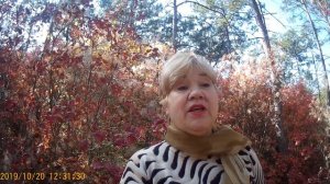 Станислав Лейс - заграница вам поможет