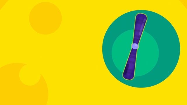 Understanding The Female Reproductive System смотреть онлайн