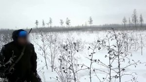 охота на изюбря в загоне