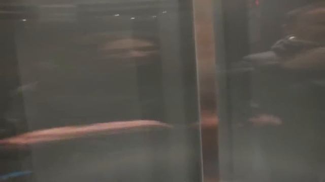 ТРЦ Gulliver ЛИФТ В ПОТОЛОК смотреть онлайн