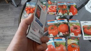 Непасынкующиеся сорта томатов, помидор| Семена томатов для ленивых| Крупные томаты для Сибири.