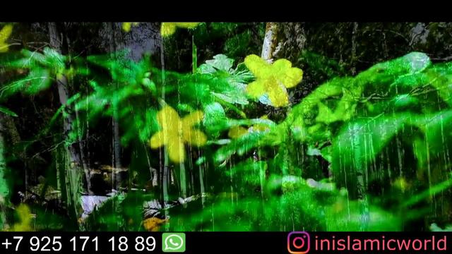 Необходимость Проявлять Терпение при Ущемлении Прав! ВАЖНО ЗНАТЬ ВСЕМ! смотреть онлайн