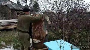 колода для пчёл на своем месте / выходные в деревне