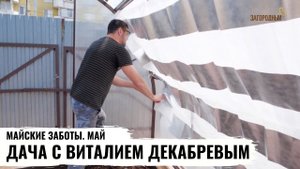 Дача с Виталием Декабревым. Май.