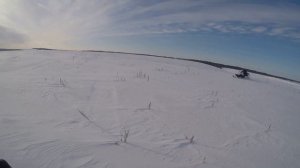 BRP LYNX Army yety pro v-800