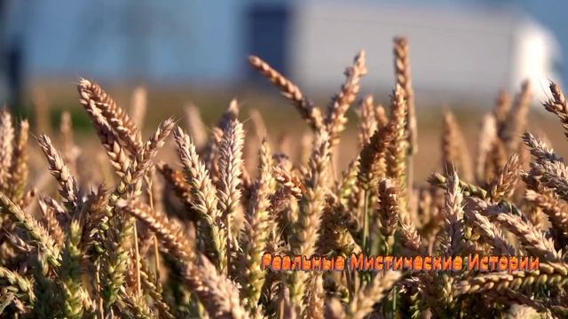Красивый пейзаж