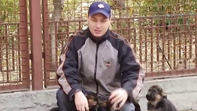 Продажа щенков НЕМЕЦКОЙ ОВЧАРКИ