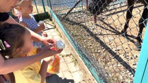 Мы сходили в контактный зоопарк "Планета обезьян и экзотик парк" и посмотрели на животный мир.