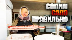 Нутряное сало. Что готовят из нутряного сала. Солим сало как наши предки.