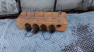 Мышеловка своими руками поймала 4 мышки.