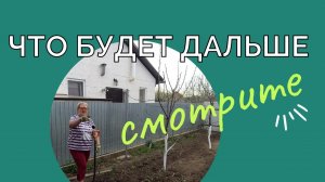 Жизнь как она есть/Купили дом на Кубани/Краснодарский край.